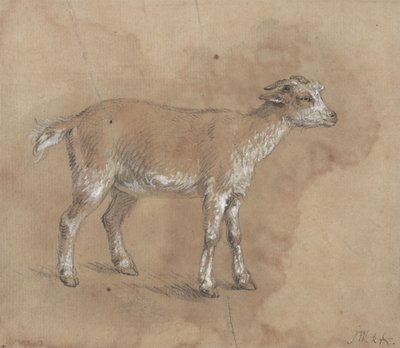 Study of a Kid by James Ward